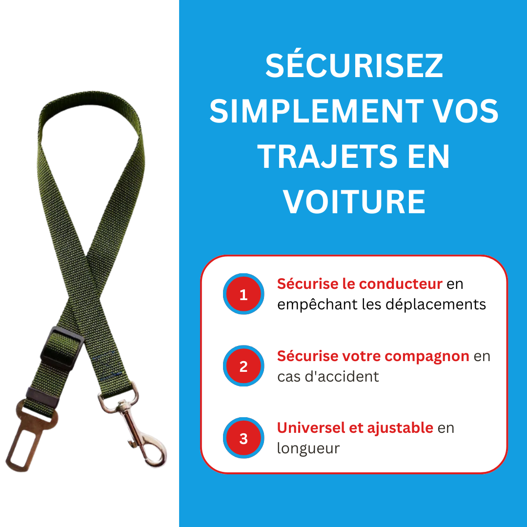 La Ceinture !